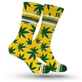 GREEN BAY NFL SOCKS