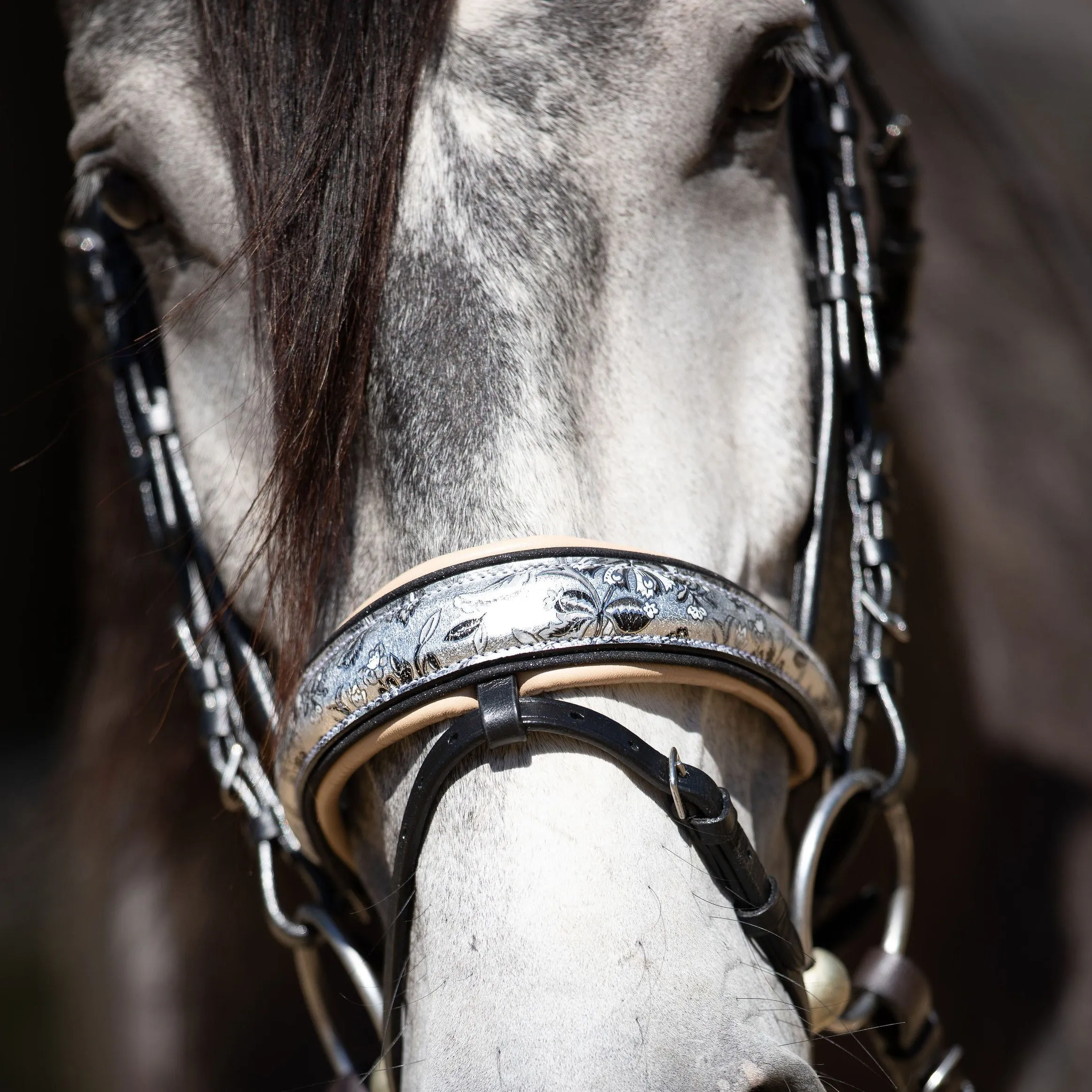 Limited Edition Venetian Snaffle Bridle