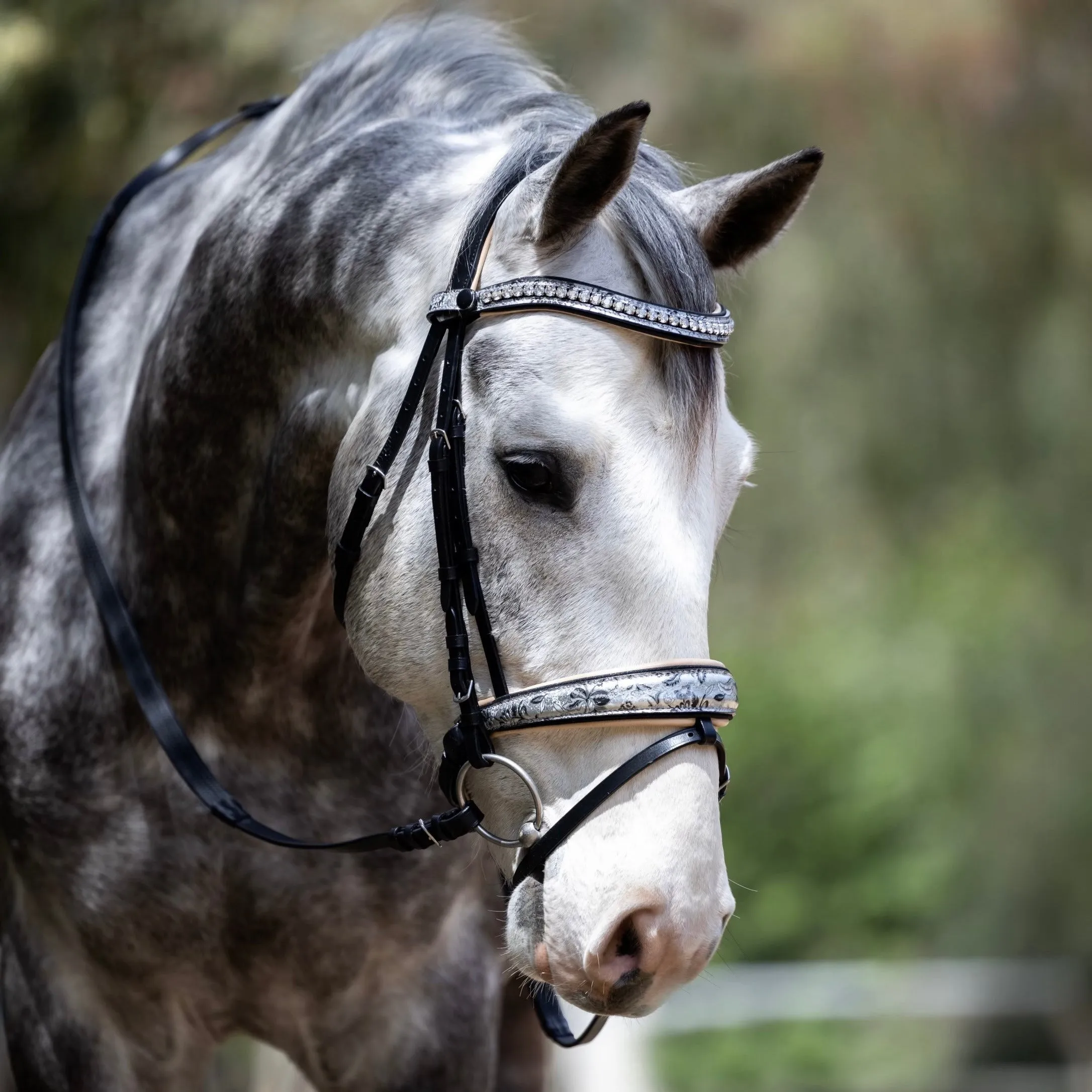 Limited Edition Venetian Snaffle Bridle