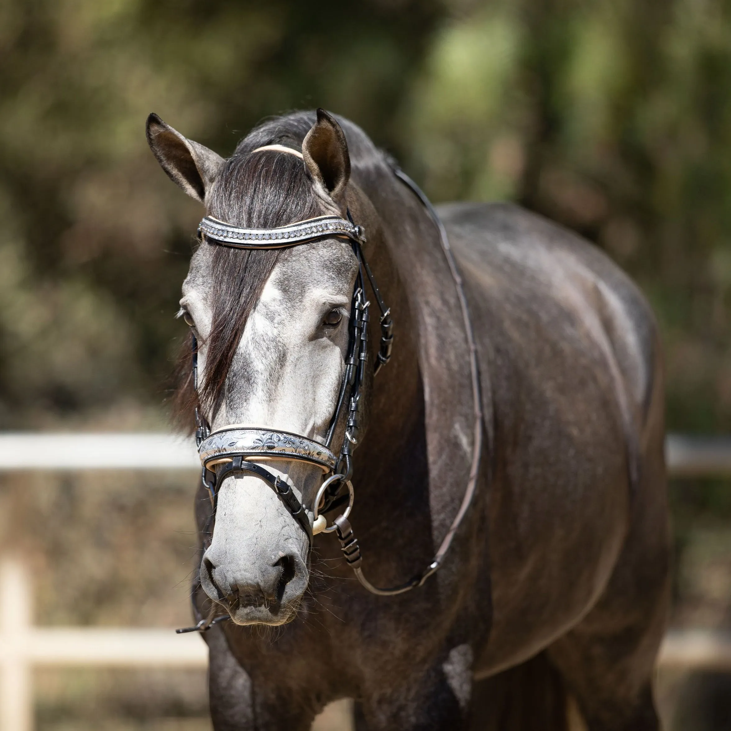 Limited Edition Venetian Snaffle Bridle