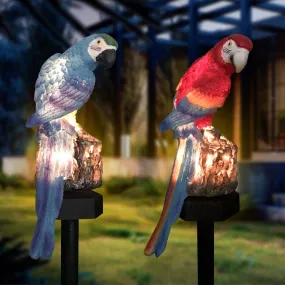 Parrot Solar Night Lights