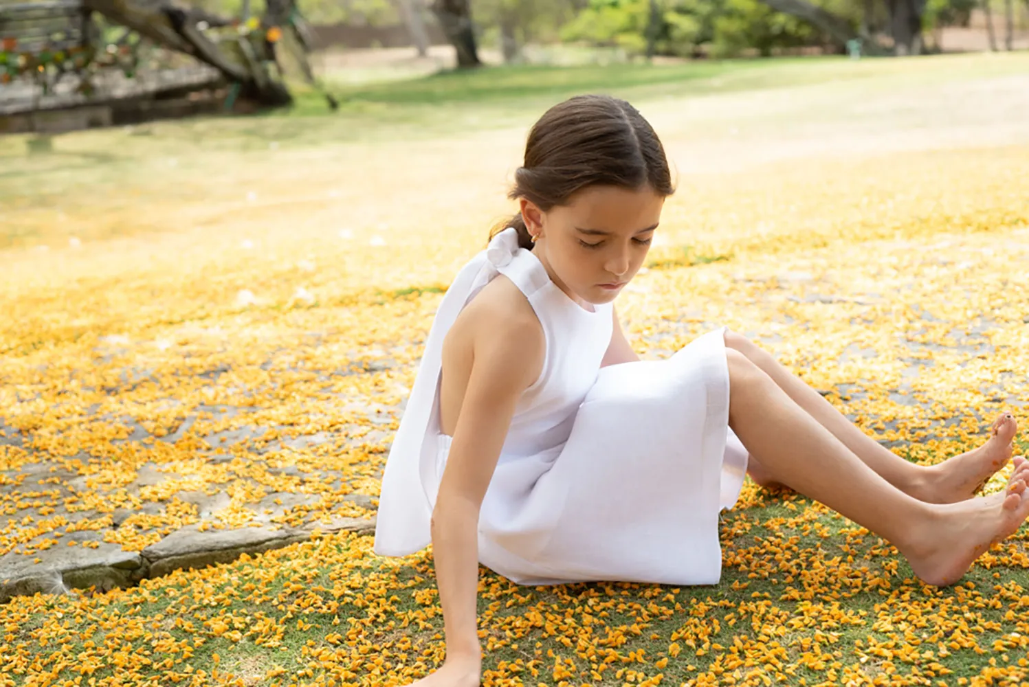 Provence Dress